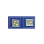 MASTIC Arabic Gum MASTIC Arabic Gum