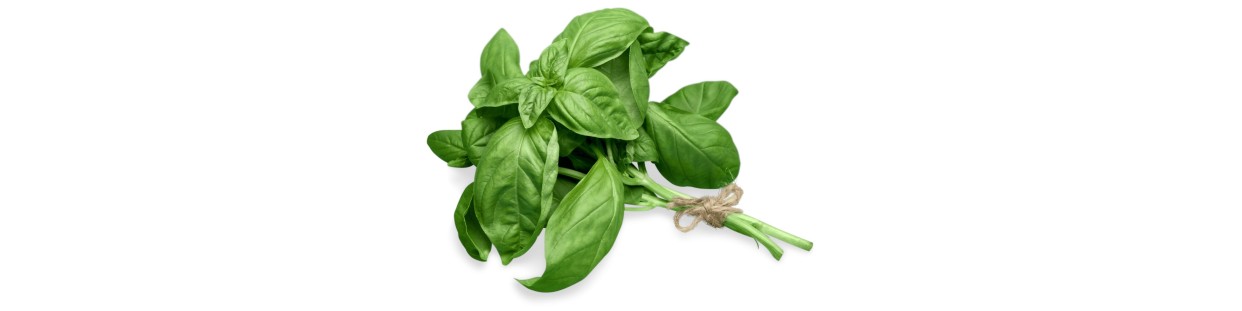 Fresh Herbs