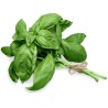 Fresh Herbs